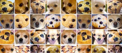 Tueftellab_KI_Grundlagen_MuffinOderChihuahua_Quelle_medium.freecodecamp.org