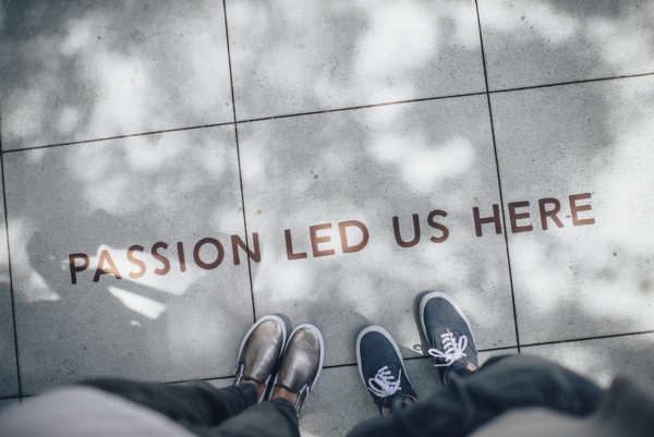 unsplash_ian-schneider